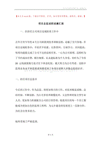 项目总监述职述廉汇报.docx