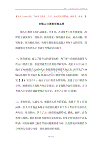 乡镇人口调查年底总结.docx