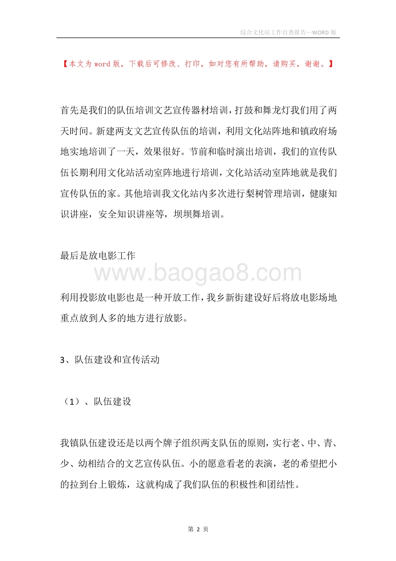 综合文化站工作自查报告.docx_第2页