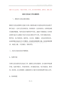 综合文化站工作自查报告.docx