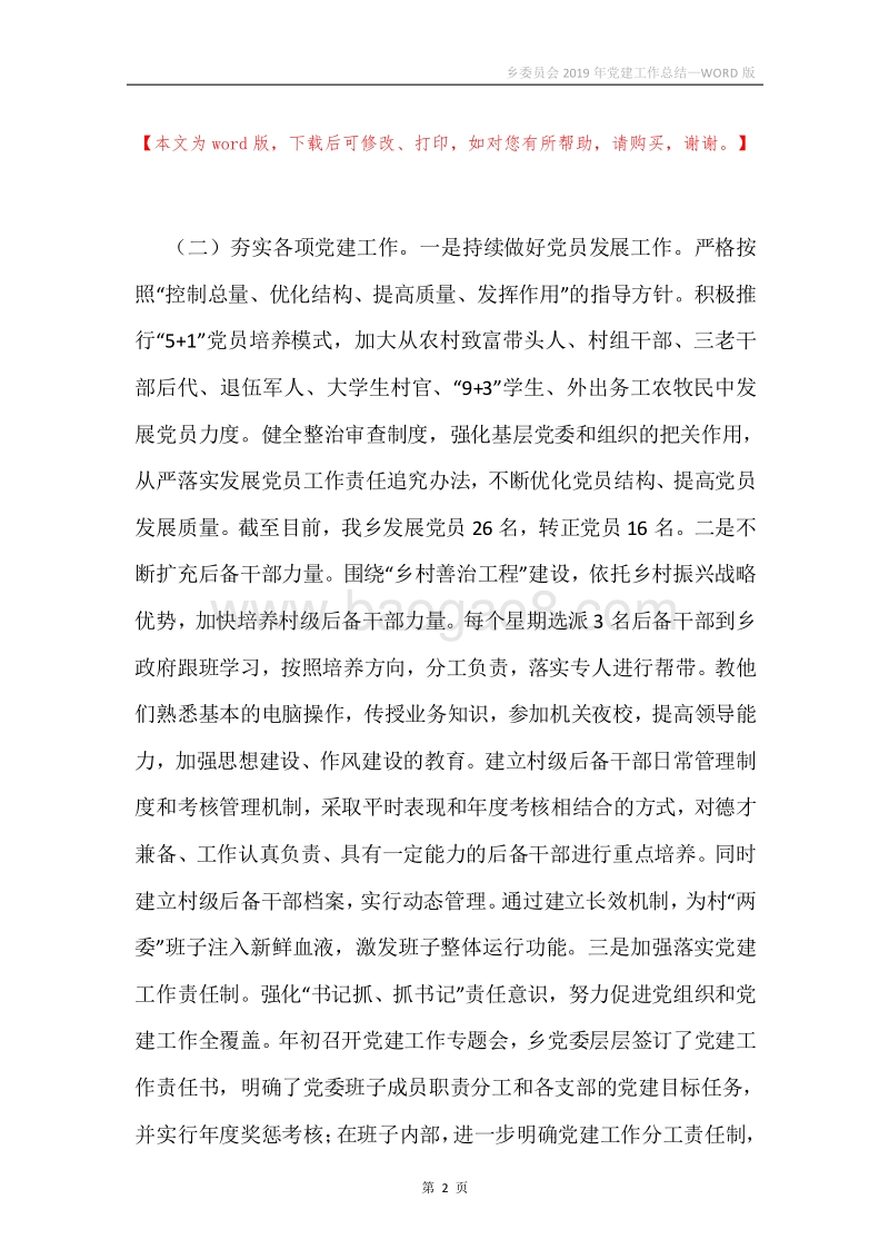 乡委员会2019年党建工作总结.docx_第2页