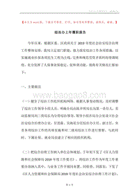 综治办上年履职报告.docx