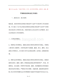 严肃财经纪律自查工作报告.docx