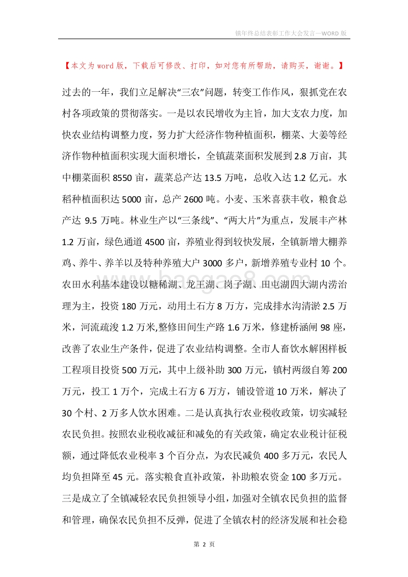 镇年终总结表彰工作大会发言.docx_第2页