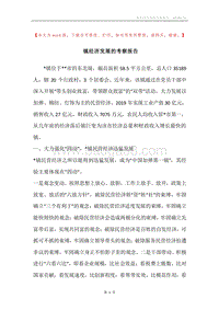镇经济发展的考察报告.docx