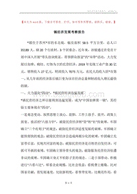 镇经济发展考察报告.docx