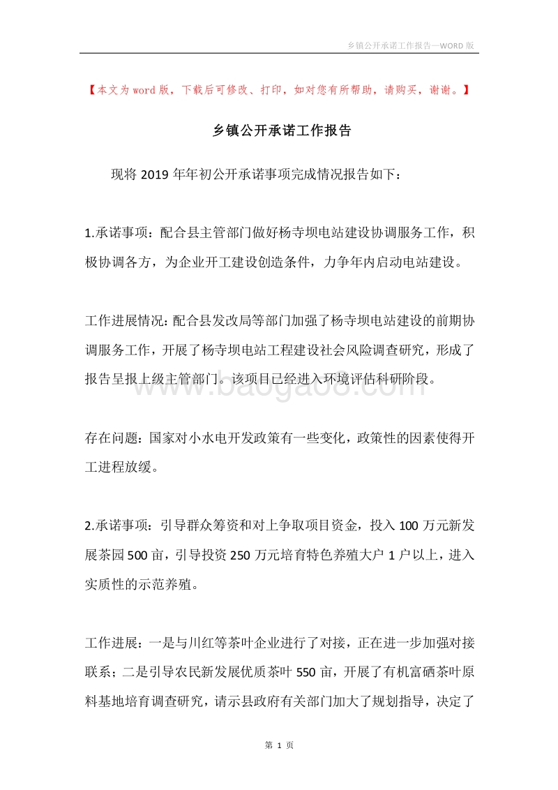 乡镇公开承诺工作报告.docx_第1页