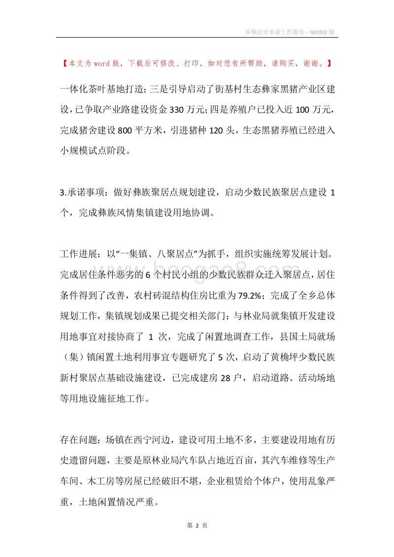 乡镇公开承诺工作报告.docx_第2页