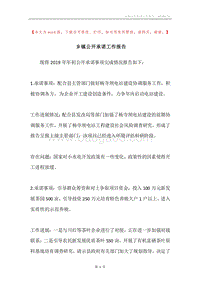 乡镇公开承诺工作报告.docx