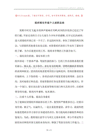 组织部长年底个人述职总结.docx
