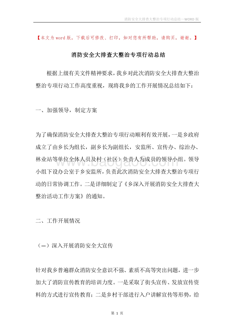 消防安全大排查大整治专项行动总结.docx_第1页