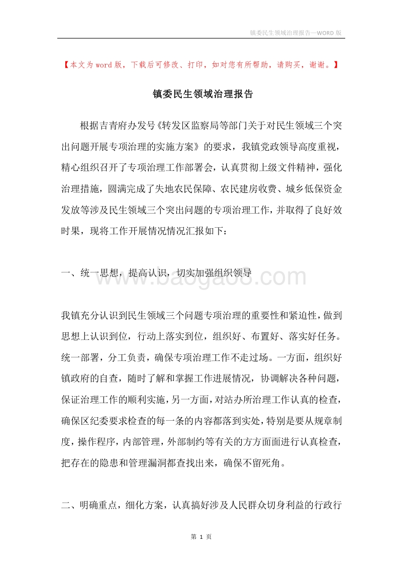 镇委民生领域治理报告.docx_第1页