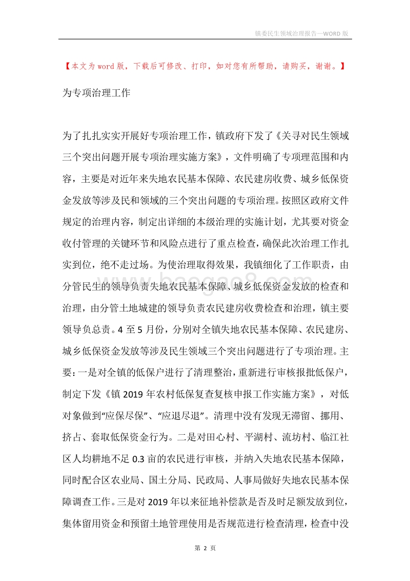 镇委民生领域治理报告.docx_第2页