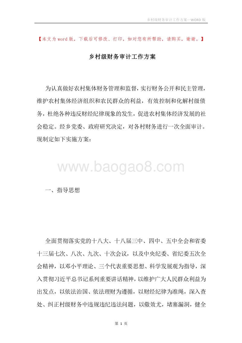 乡村级财务审计工作方案.docx_第1页