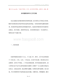 乡村级财务审计工作方案.docx