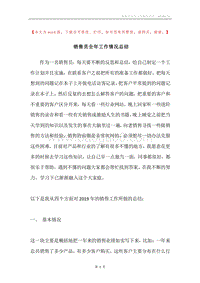 销售员全年工作情况总结.docx