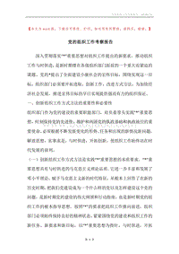 党的组织工作考察报告.docx