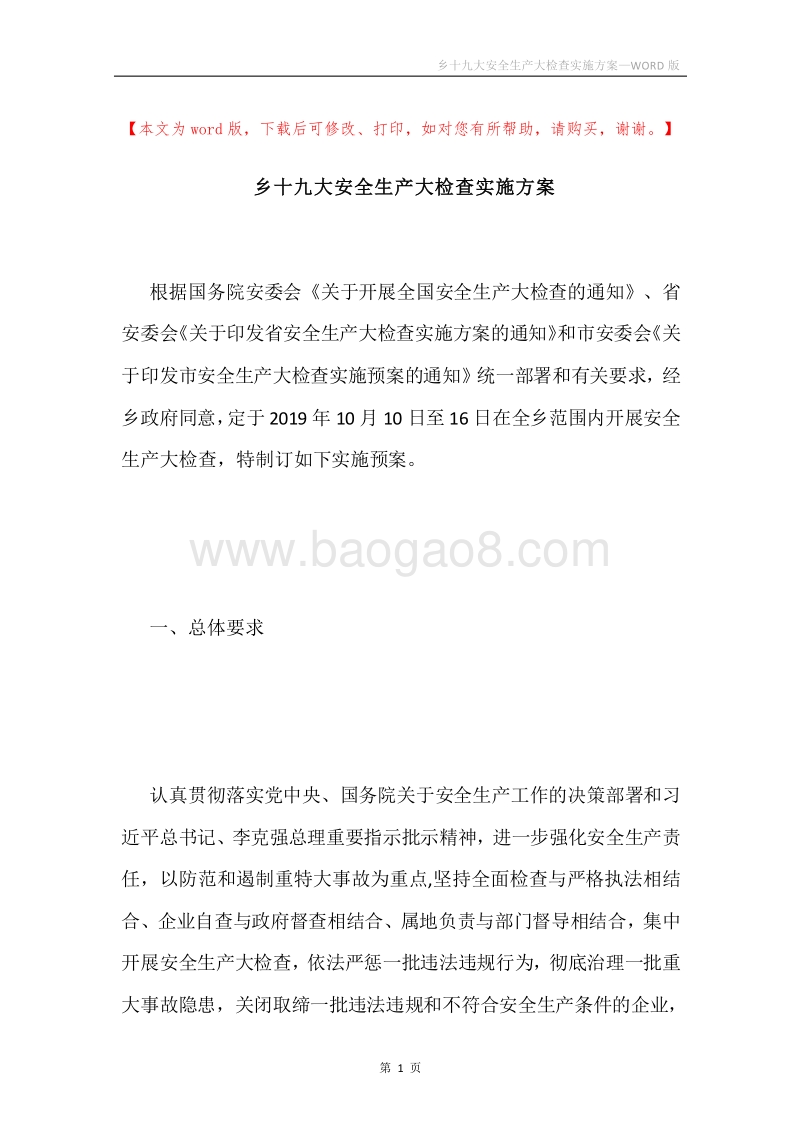 乡十九大安全生产大检查实施方案.docx_第1页