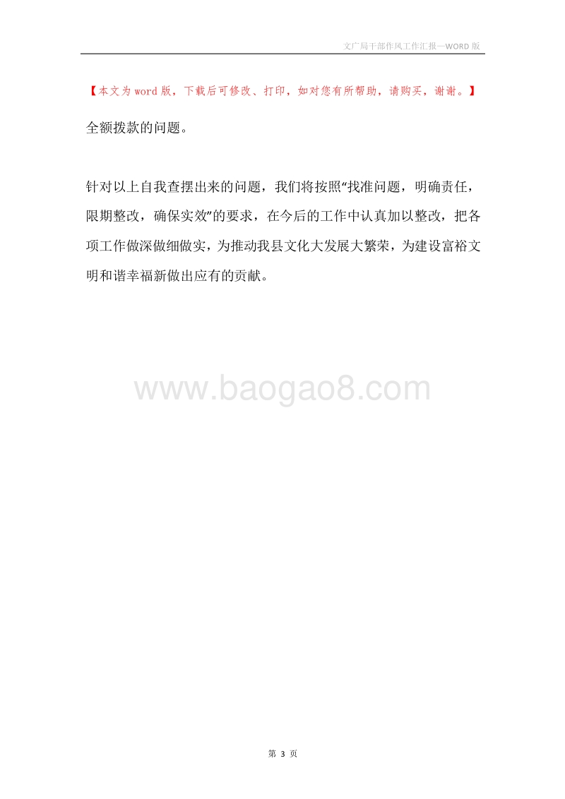 文广局干部作风工作汇报.docx_第3页