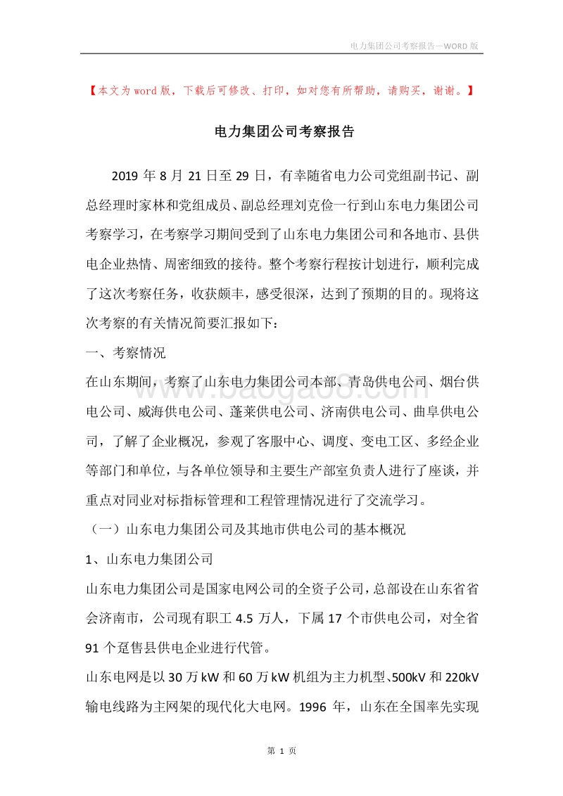 电力集团公司考察报告.docx_第1页