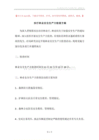 实行林业安全生产大检查方案.docx