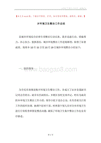 乡环境卫生整治工作总结.docx