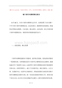 镇干部作风整顿情况报告.docx