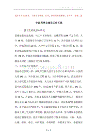 中医药事业建设工作汇报.docx