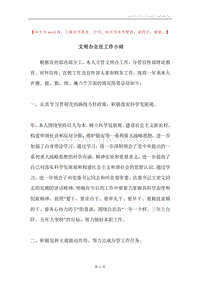 文明办主任工作小结.docx