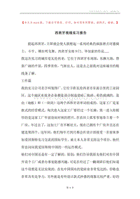 西班牙视线实习报告.docx