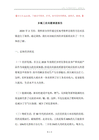 乡镇三农问题调查报告.docx