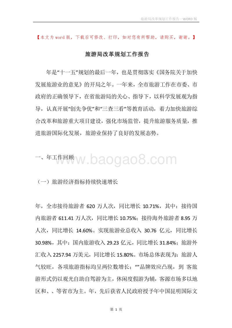 旅游局改革规划工作报告.docx_第1页