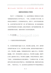 旅游局改革规划工作报告.docx