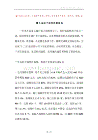 镇长及班子成员述职报告.docx