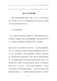 重点办主任述职述廉.docx