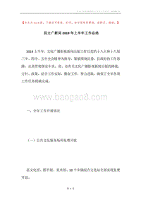 县文广新局2019年上半年工作总结.docx