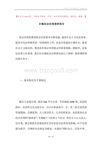 乡镇依法治理调研报告.docx