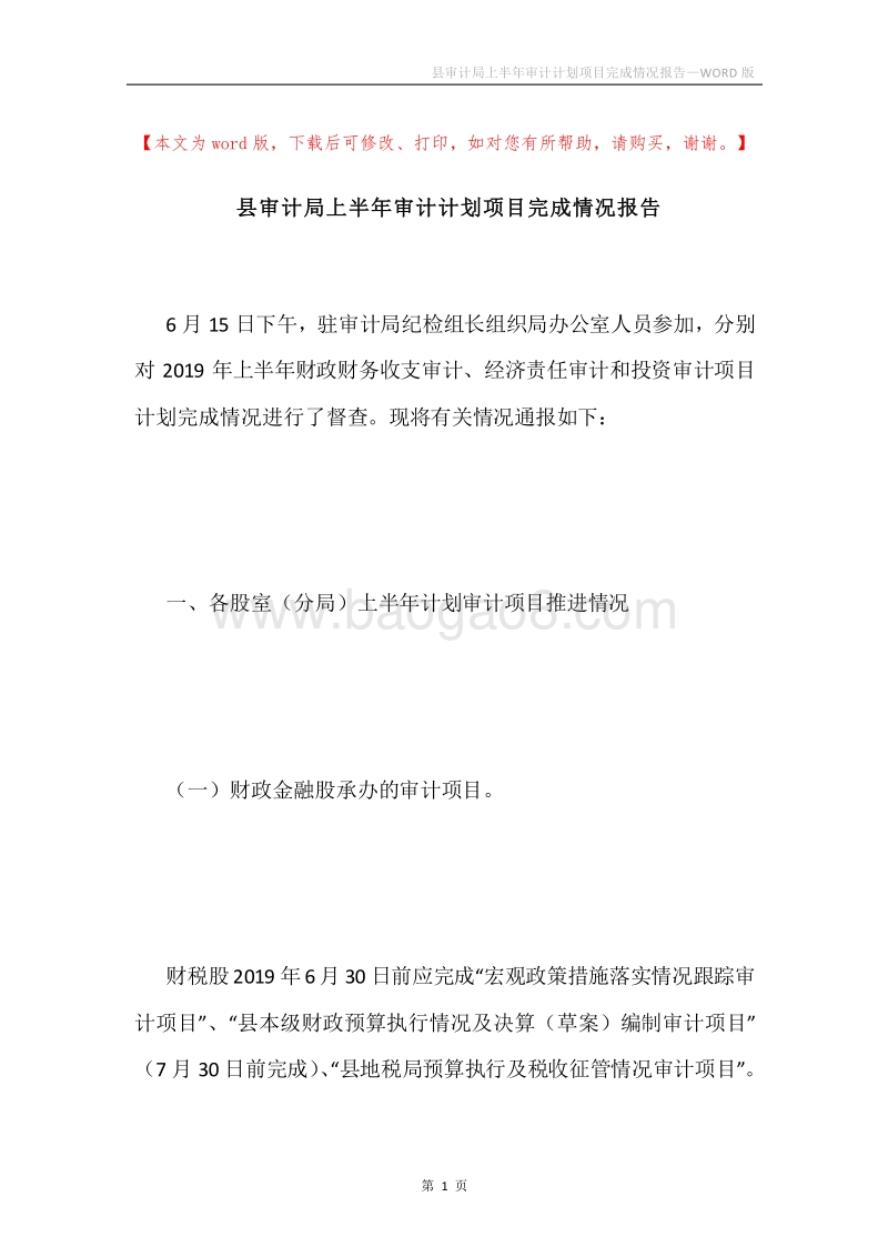 县审计局上半年审计计划项目完成情况报告.docx_第1页