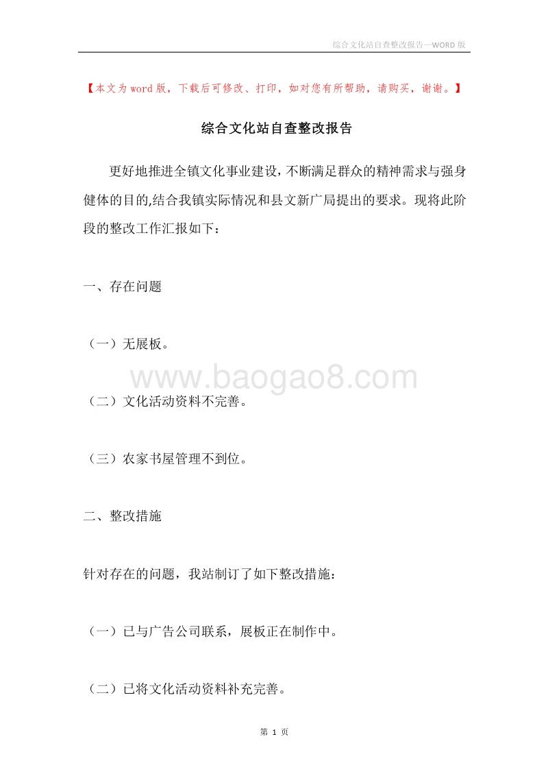 综合文化站自查整改报告.docx_第1页