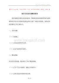 综合文化站自查整改报告.docx