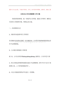 自来水公司内部督察工作方案.docx