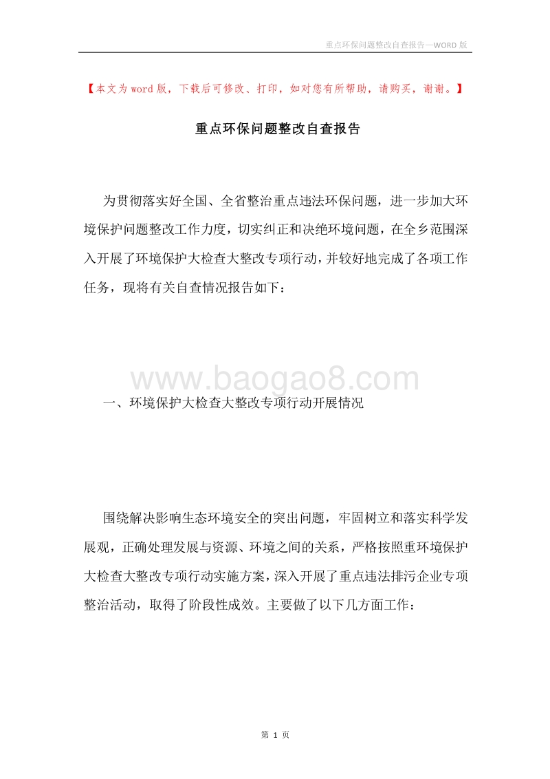 重点环保问题整改自查报告.docx_第1页
