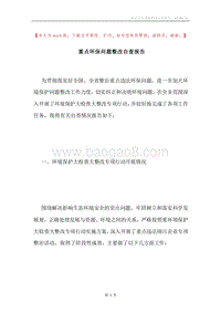 重点环保问题整改自查报告.docx