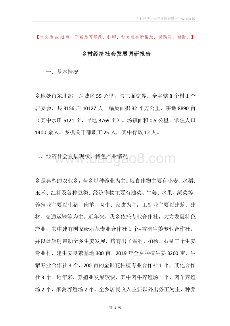 乡村经济社会发展调研报告.docx_第1页