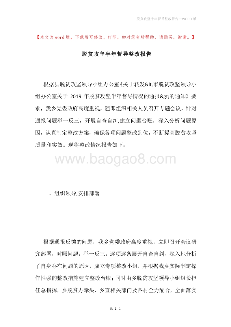 脱贫攻坚半年督导整改报告.docx_第1页