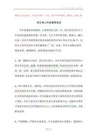 审计局工作会领导发言.docx