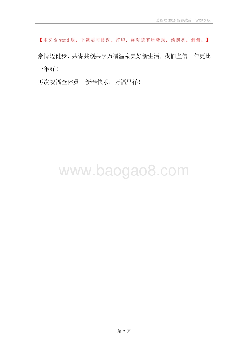 总经理2019新春致辞.docx_第2页