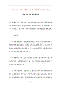 县城市规划管理年底总结.docx