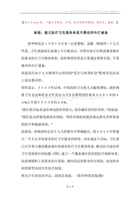 高强：建立医疗卫生服务体系不需动用外汇储备.docx