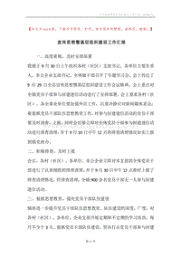 宣传思想暨基层组织建设工作汇报.docx